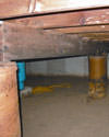 Mold and rot thriving in a dirt floor crawl space in Franklin