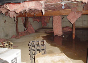 fiberglass insulation dripping off the ceiling of a crawl space in Tuckasegee.
