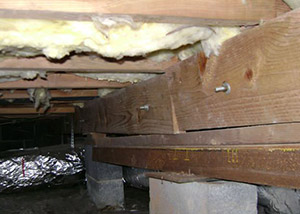 A sagging crawl space with concrete supports and wooden shimming a Sapphire crawl space