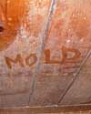 The word mold written with a finger on a moldy wood wall in Otto