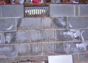 Open crawl space vents allowing in humidity and water in Dillsboro