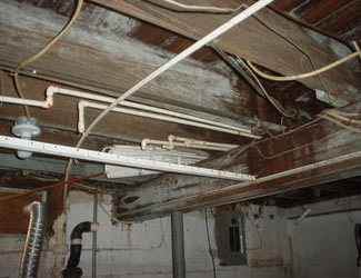 a humid basement overgrown with mold and rot in Glenville